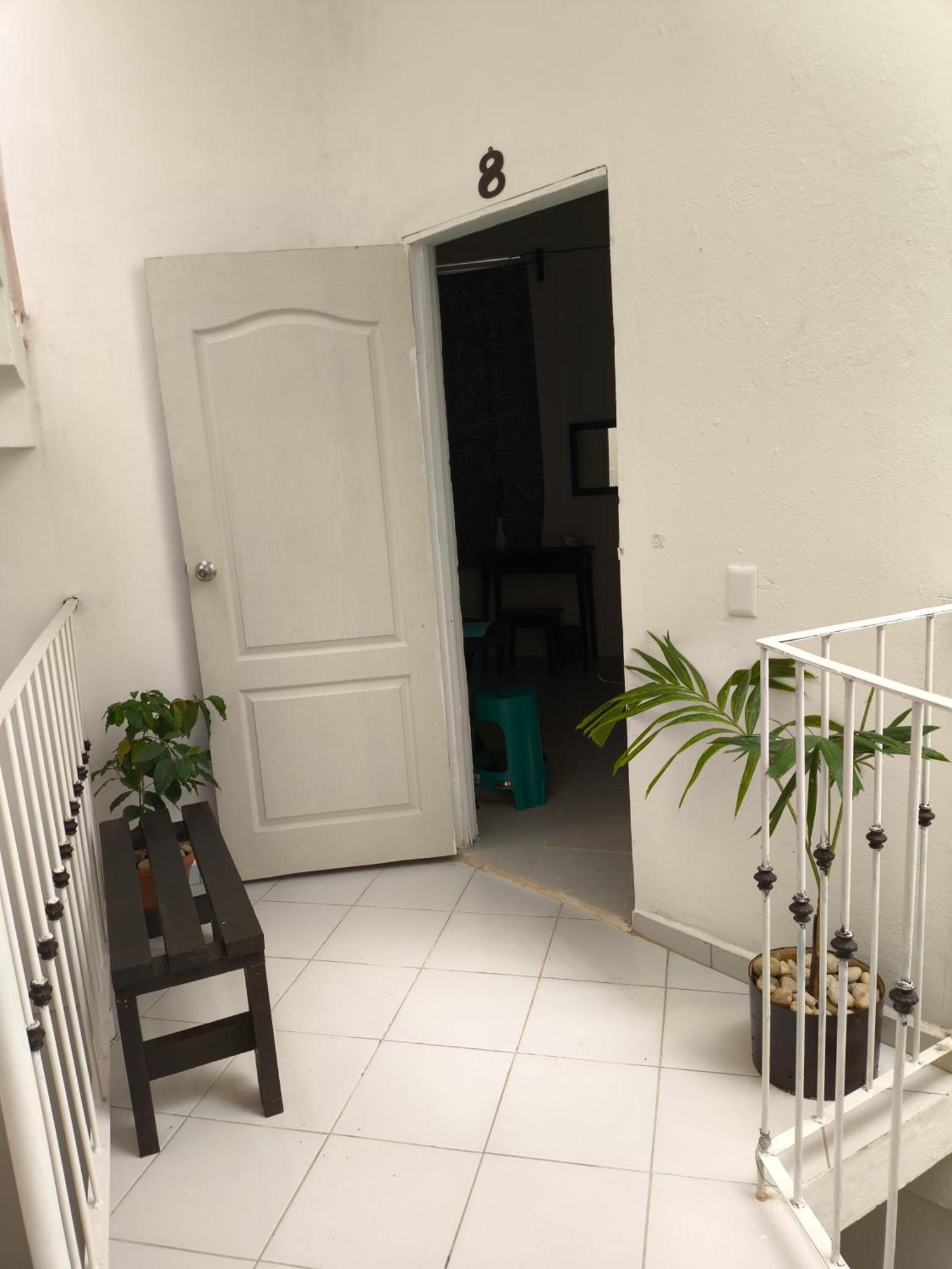 Hotel Casa Luna Palenque Kültér fotó